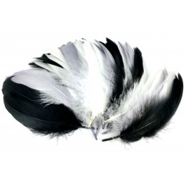 PACK PLUMES D'OIE - 20G (80 PCS) - 14/17 CM - COLORIS BLANC/GRIS/NOIR