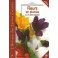 LIVRE FLEURS EN PLUMES (Carpentier)